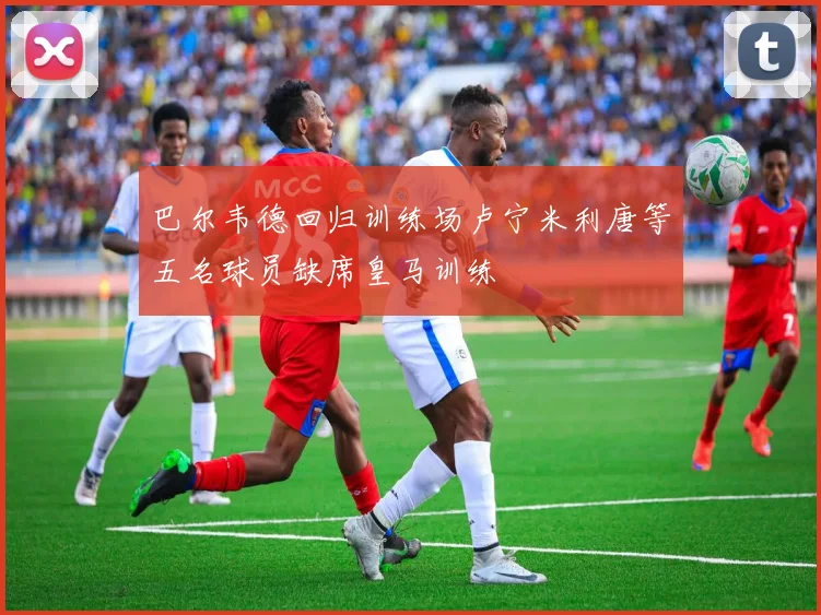 巴尔韦德回归训练场卢宁米利唐等五名球员缺席皇马训练